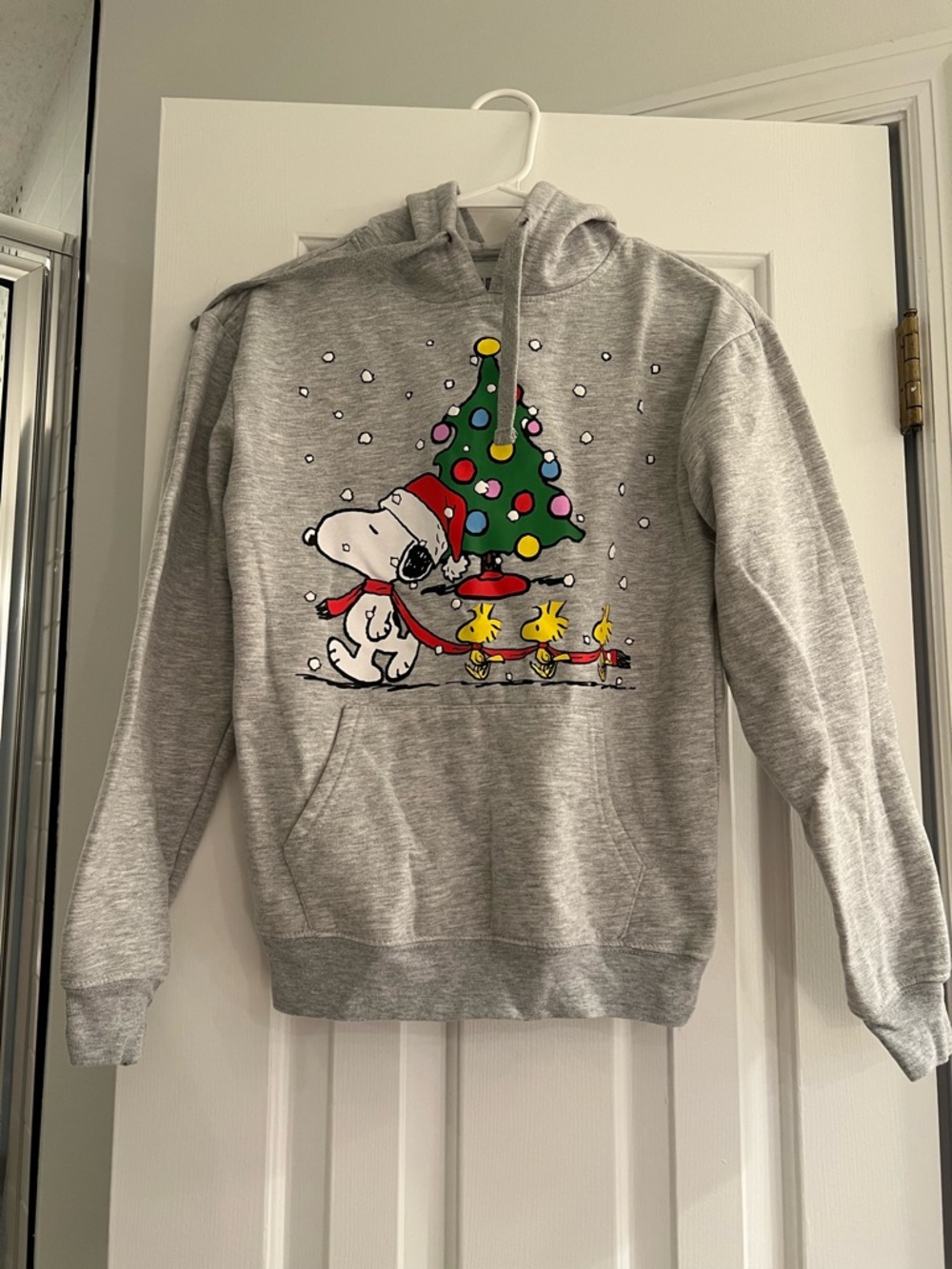 Peanuts Hoodie with Snoopy & Woodstock Holiday Graphic